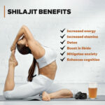 PurShilajit Benefits