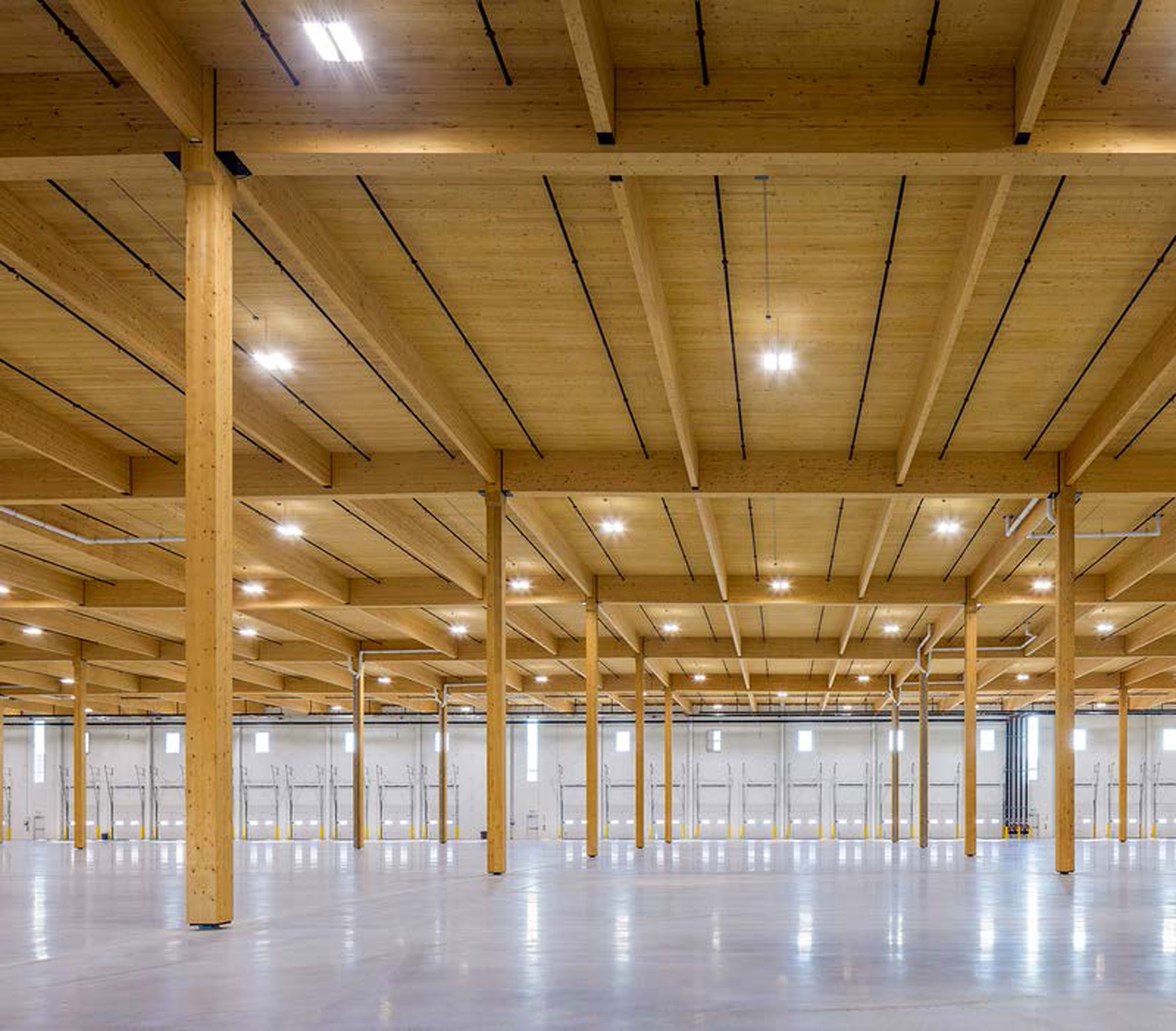 Mass Timber Industrial Building